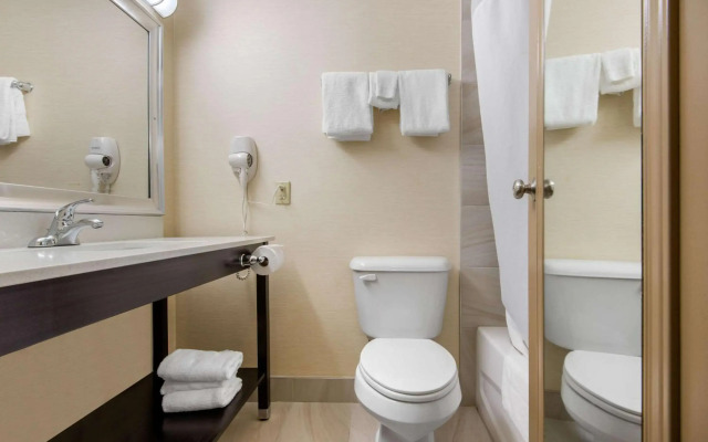 Quality Inn & Conference Centre Downtown