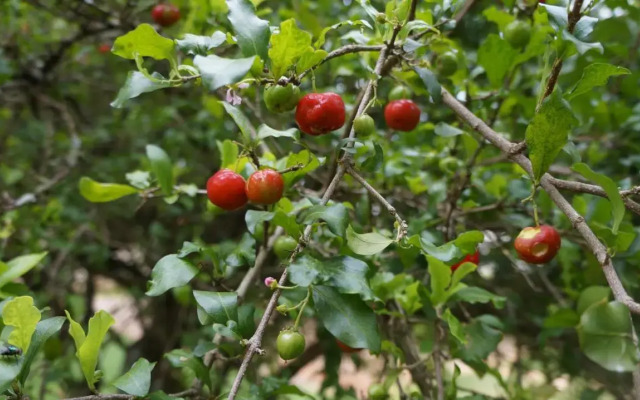 Pousada Vale das Primaveras