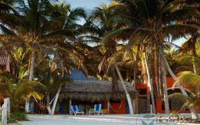 Casa de las Tortugas