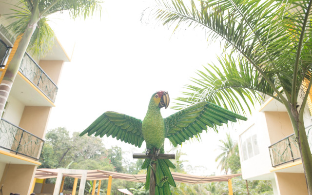 Hotel Cascada Huasteca