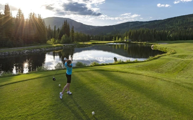 Woodhaven #16 By Bear Country