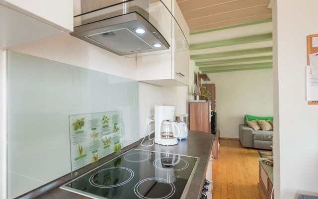Luxurious Holiday Home in Rieder Harz With Sauna