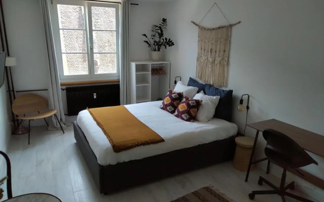 Appartement Spacieux et Cosy - Strasbourg Centre