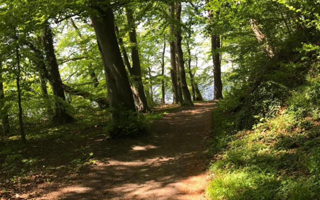 Raben Steinfeld Forststraße 3 Residenzpark