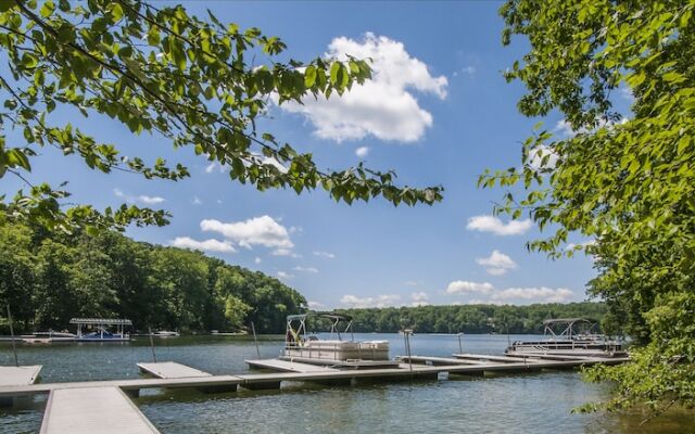 Bearadise 3 Bedroom House