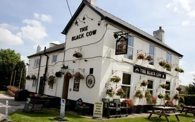 The Black Cow