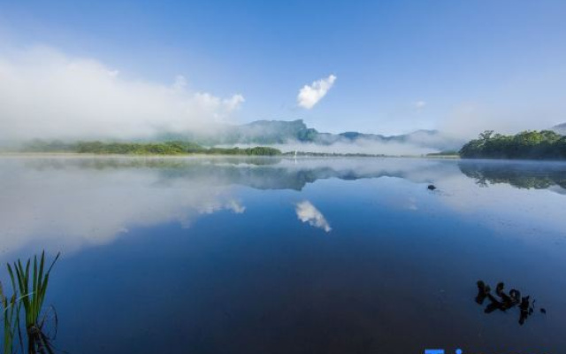 Shennongjia Lily Hotel (Dajiuhu Pingqian Ancient Town)