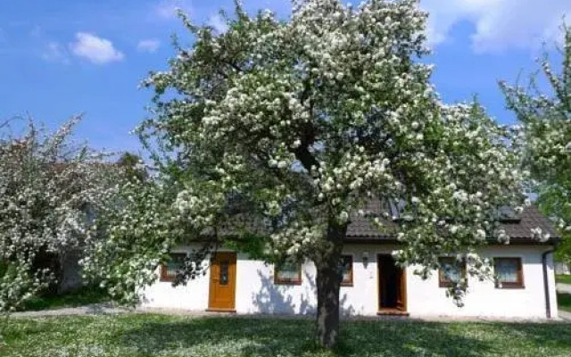 Apfelbaum