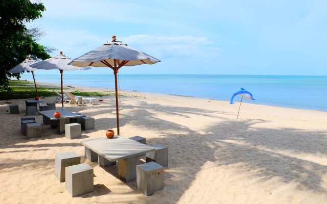 Tree home plus homestay