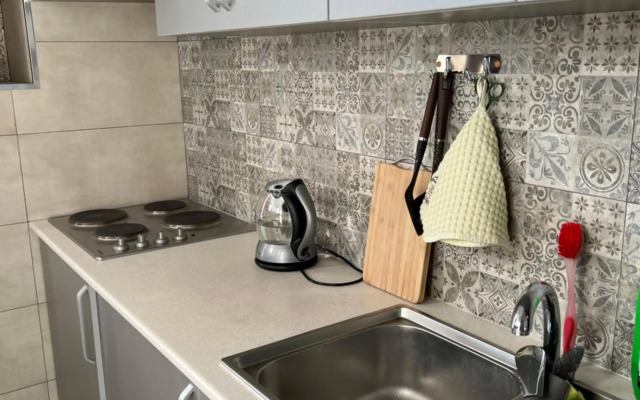 Fantastic cozy 2 bedroom apartment in Dushanbe downtown