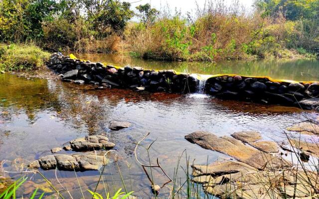 River Bird (Dalvi's Farm Tourism)