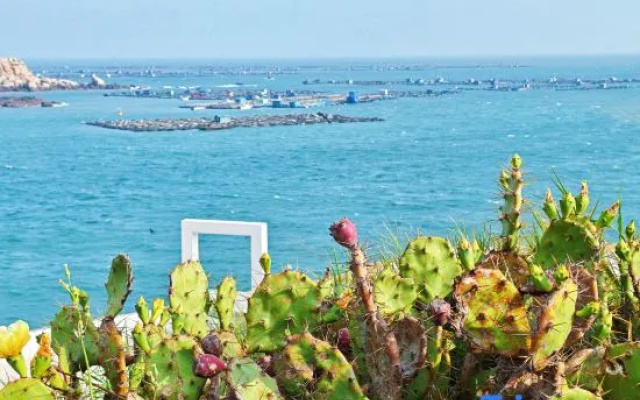 Pingtan Mo Cliff Seaview Homestay – Beach – Fuzhou