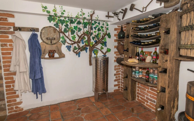 Vineyard cottage Rataj 2