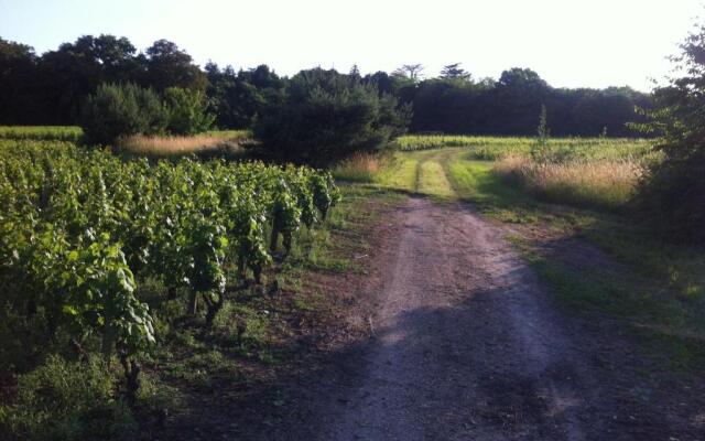 Domaine du Mont des Chênes