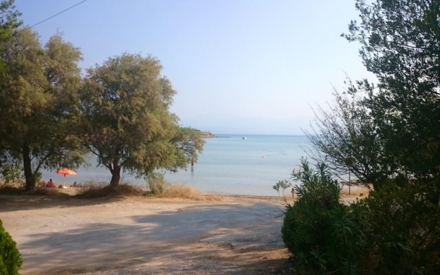 Apartment With 3 Bedrooms in Drossia, Chalkis, With Wonderful sea View
