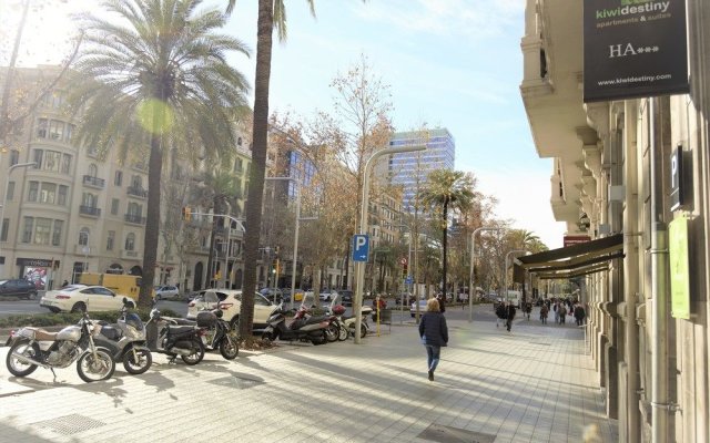 Kiwidestiny Barcelona City