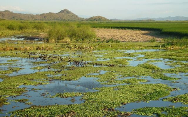 Palo Verde Biological Station
