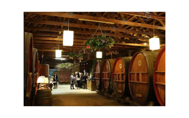 Wanderlight Motor Inn