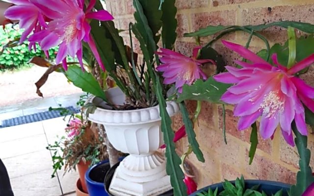 Mundaring Bed and Breakfast