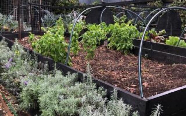 Westown Studio (Adults Only)