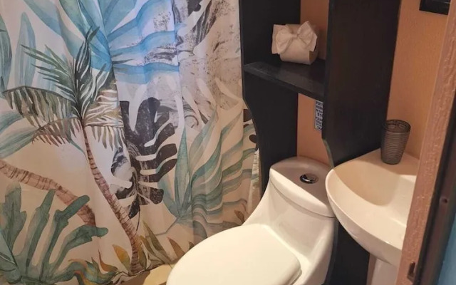 Caribbean Blue Morpho