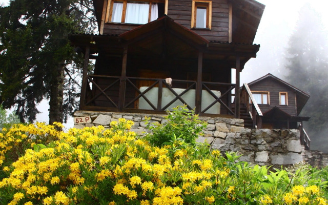 Hamsiköy Zitaş Bungalov & Restoran