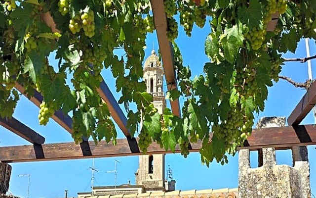 B&B Pergulea