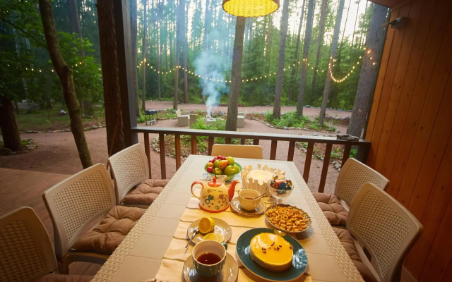 Репинские дачи