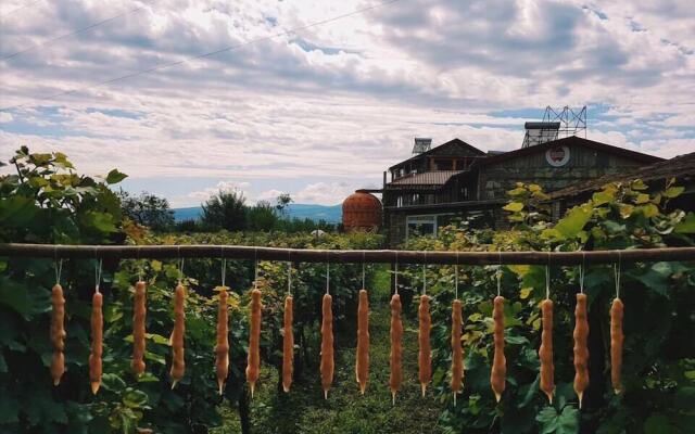 Отель Twins Wine Cellar