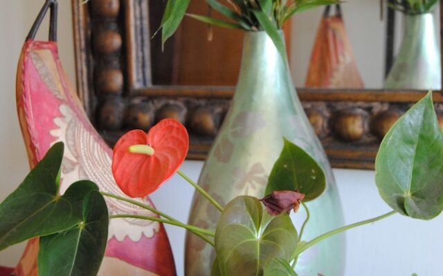 Rustico Felix Affittacamere