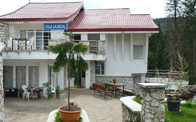 Vila Liliacul