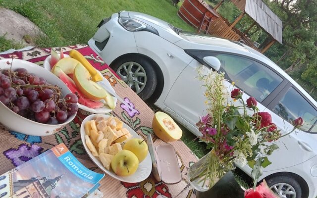 Room in Guest Room - Rural Holiday Transylvania