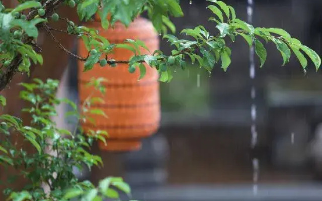 Yijing Boutique Culture Hotel