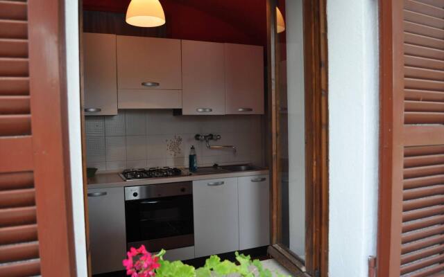 B&B Alice in wonderland