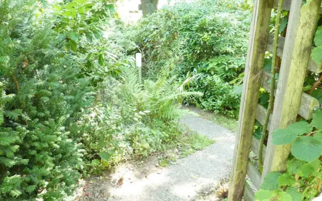 Ferienwohnung am steilen Waldweg
