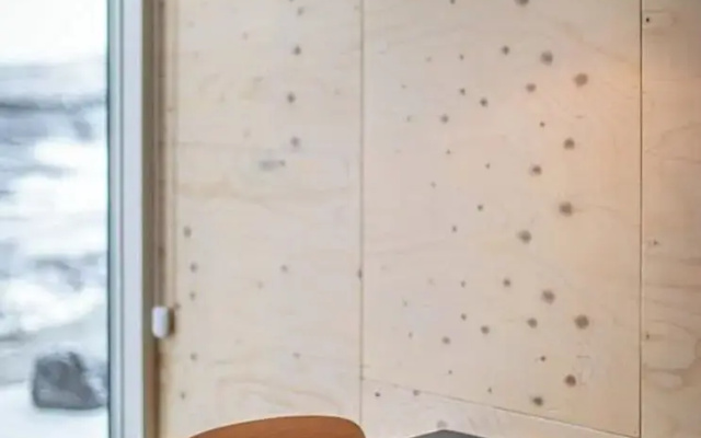 Aska Modern Cabin