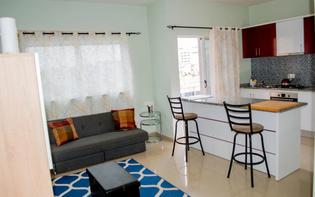 Comfortable cozy apartment