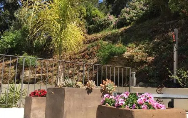 Le Patio