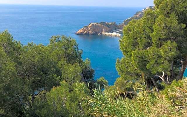 Les terrasses des Anthenors