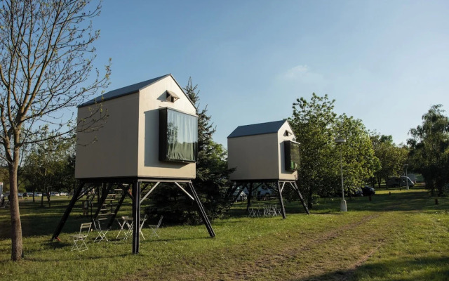 Camp Dzban
