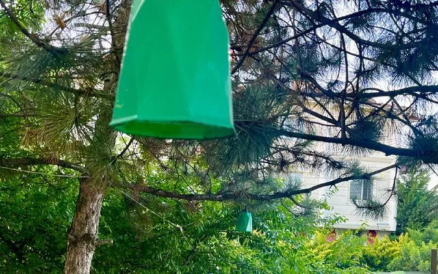 Bolu Otel