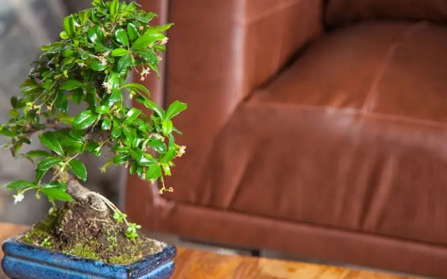 Residenz Cheval am Pfaffenberg Friedrichshafen Messe