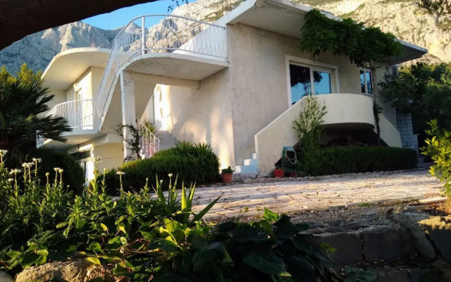 Viki - Seaview & Garden Terrace - A1