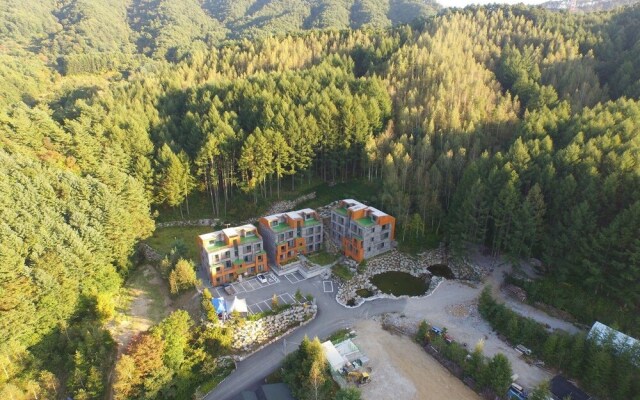 Phoenix Emerald Pension
