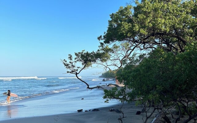 Mar Botánico - Avellanas Beach Hotel