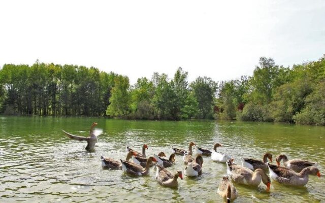 Logis Hostellerie de lAuberge de LÉtang Bleu