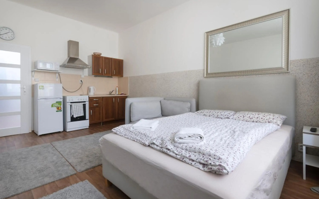 Apartment in the centre of the Prague