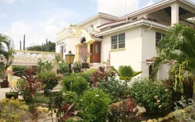 Palm Paradise Guest House and Apartments