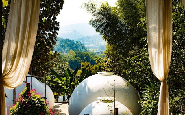 The Mothership - Hostel