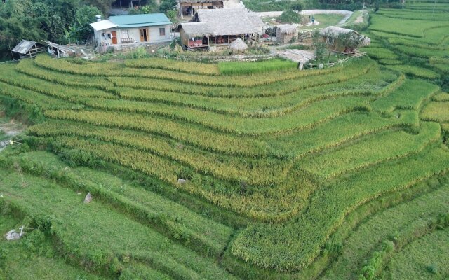 Golden Rice Garden Sapa
